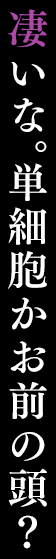 凄いな。単細胞かお前の頭？